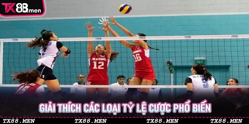 Giải thích các loại tỷ lệ cược phổ biến