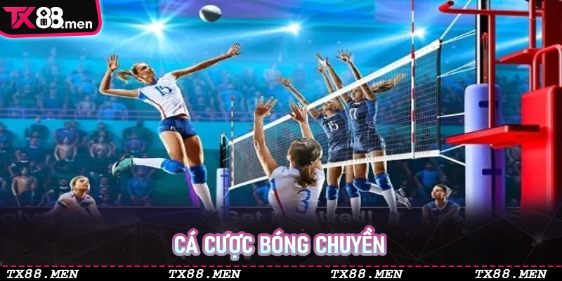 Cá Cược Bóng Chuyền GI8 - Bí Quyết Phân Tích Tỷ Lệ Và Dự Đoán Chiến Thắng