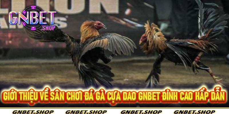 Giới thiệu về sân chơi đá gà cựa dao Gnbet đỉnh cao hấp dẫn