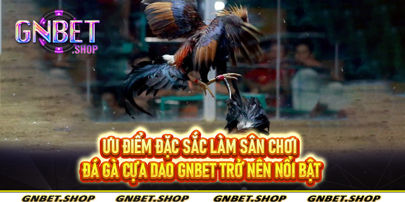 Ưu điểm đặc sắc làm sân chơi đá gà cựa dao Gnbet trở nên nổi bật