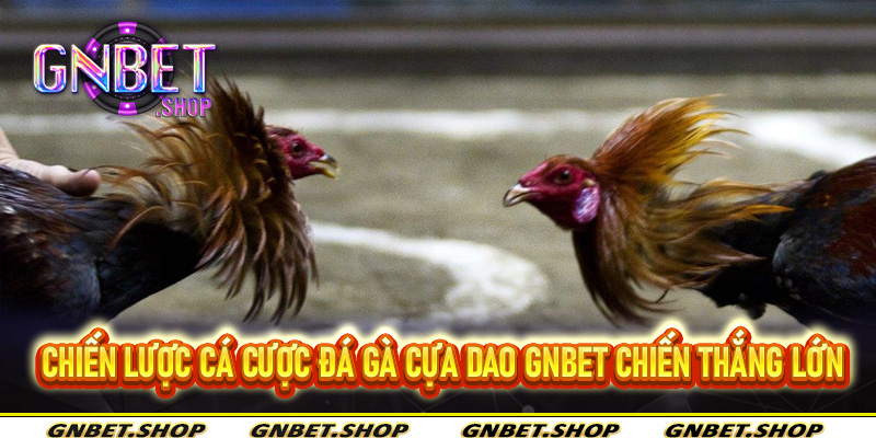 Chiến lược cá cược đá gà cựa dao Gnbet chiến thắng lớn