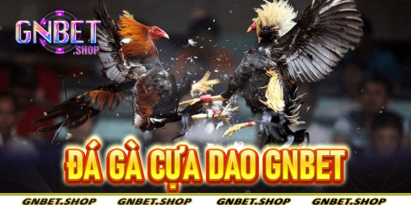 Đá gà cựa dao Gnbet