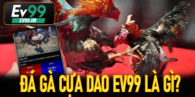 Đá gà cựa dao Ev99 là gì?