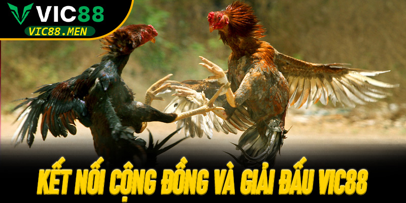 Kết nối cộng đồng và giải đấu Vic88