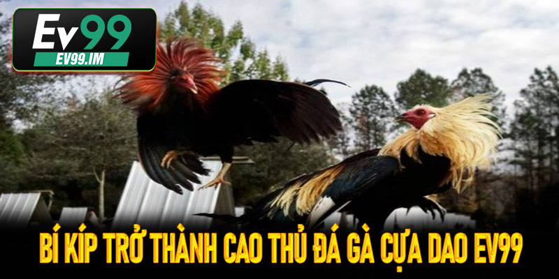 Bí kíp trở thành cao thủ đá gà cựa dao Ev99